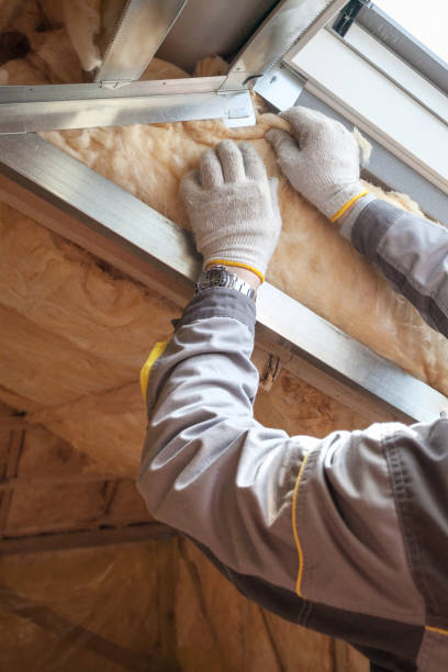 Best Professional Insulation Contractor  in Point Clear, AL