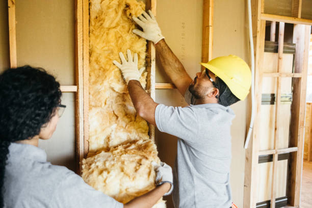 Best Insulation Replacement Services  in Point Clear, AL